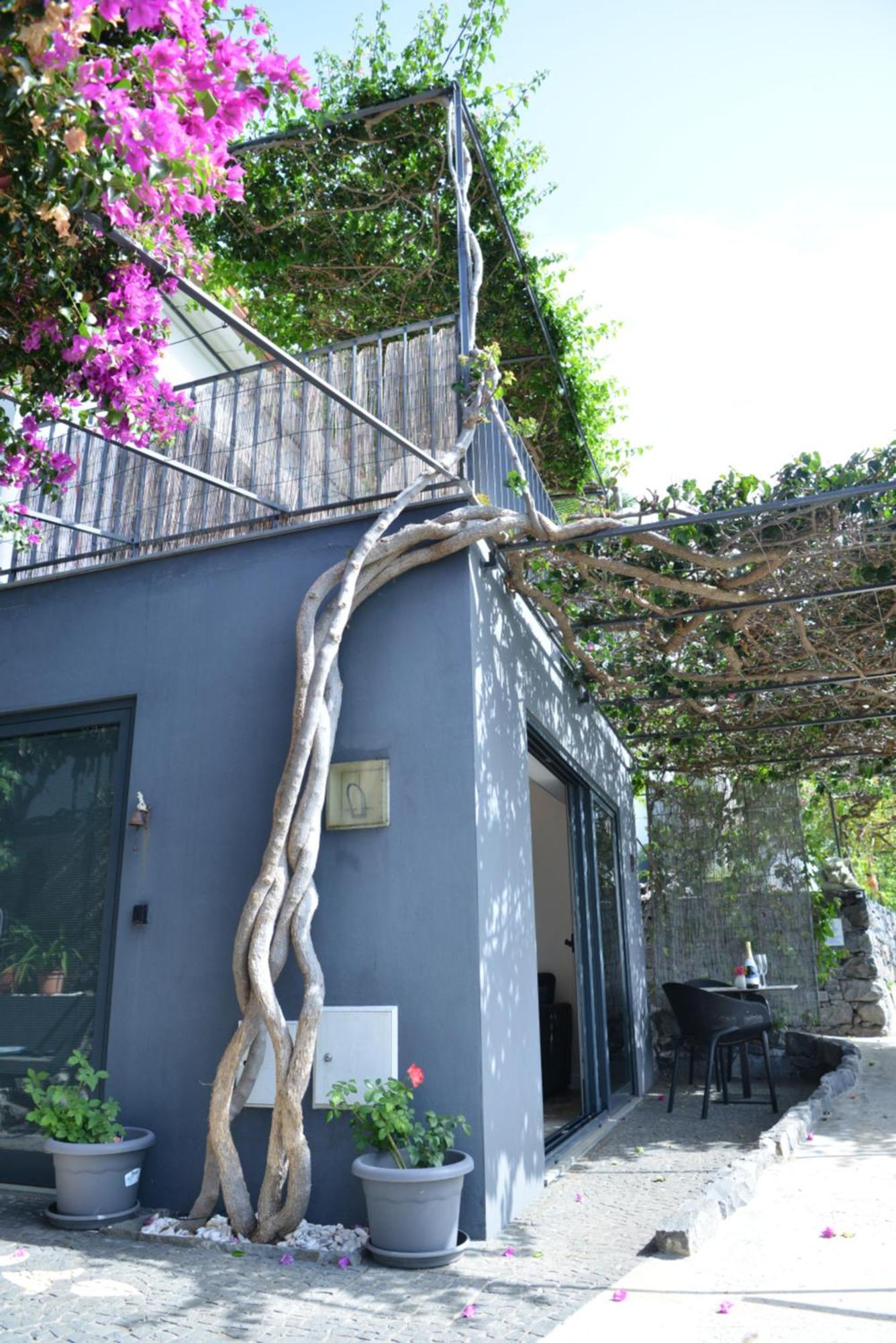 Apartament Quinta Golfinho Arco da Calheta  Zewnętrze zdjęcie