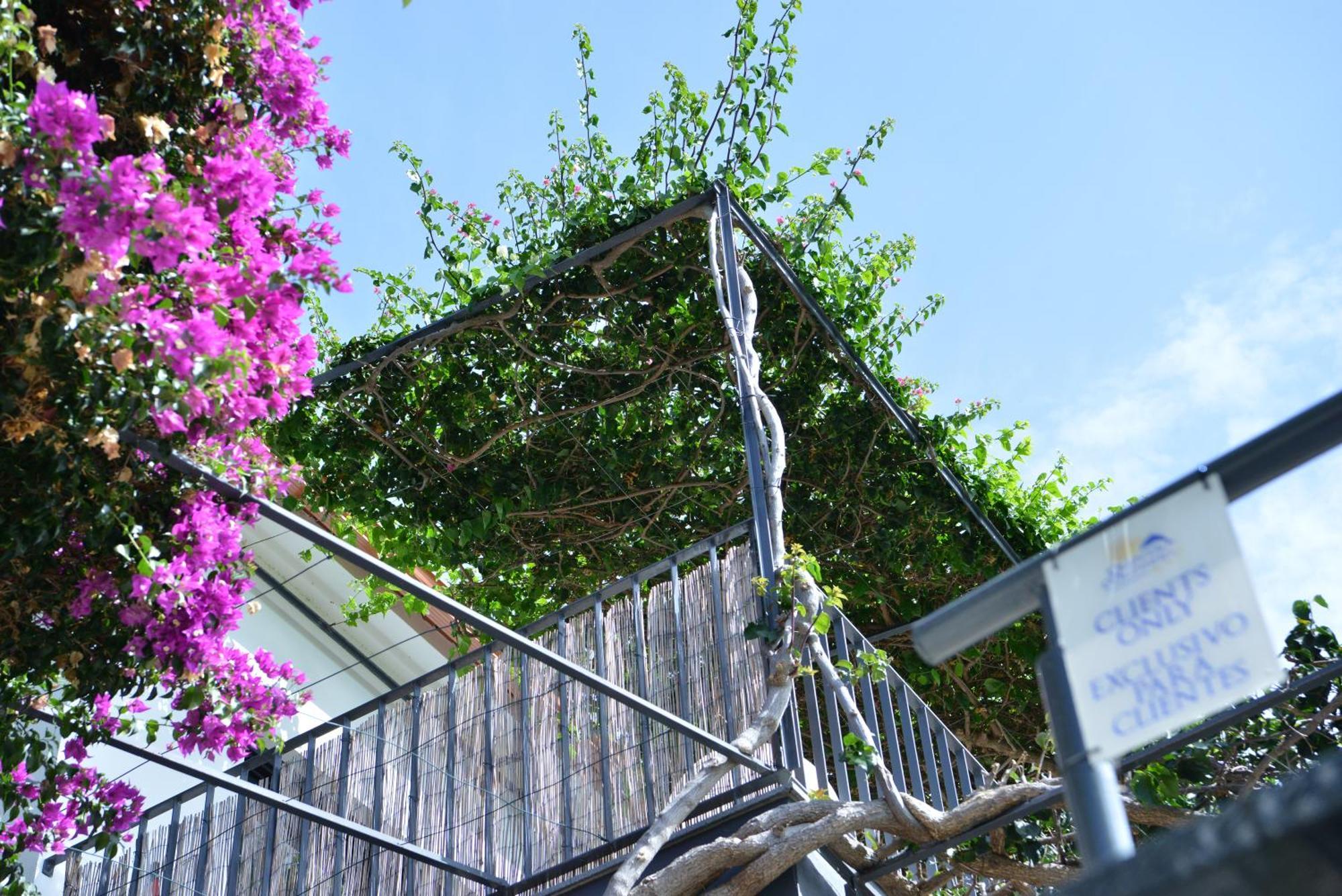 Apartament Quinta Golfinho Arco da Calheta  Zewnętrze zdjęcie
