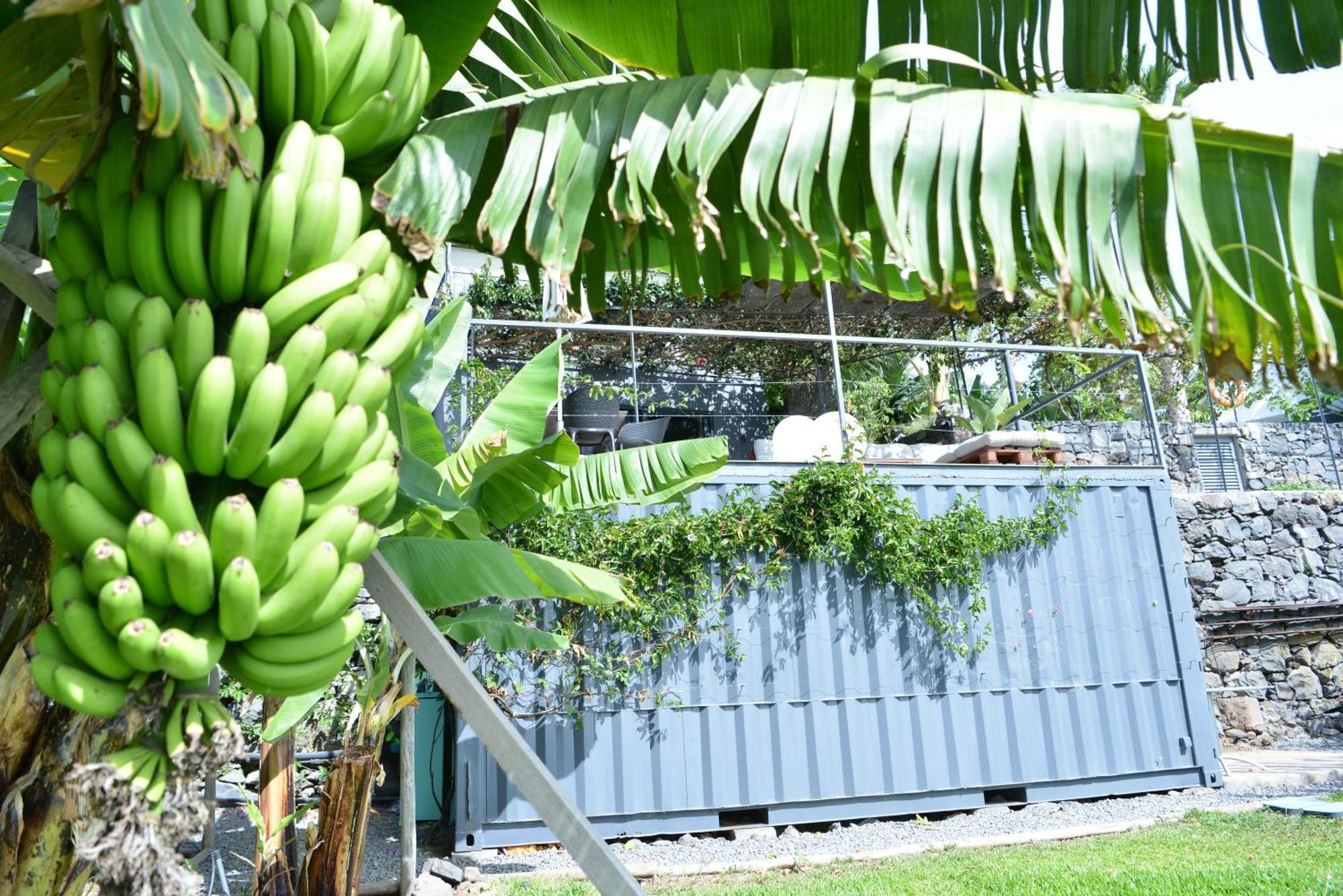 Apartament Quinta Golfinho Arco da Calheta  Zewnętrze zdjęcie