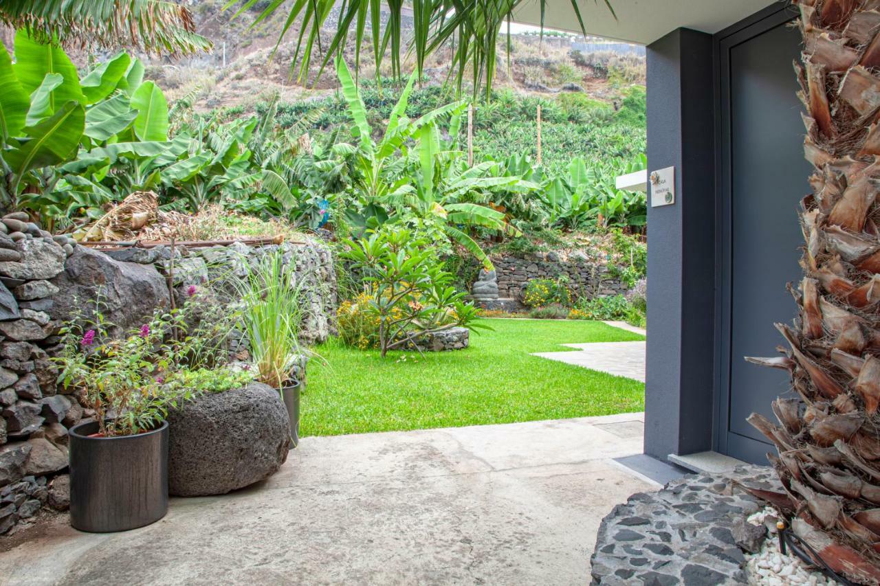 Apartament Quinta Golfinho Arco da Calheta  Zewnętrze zdjęcie