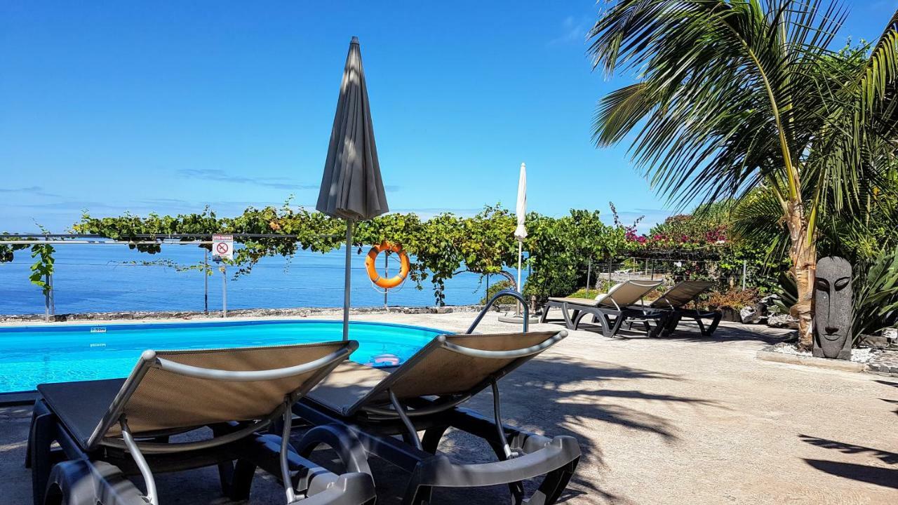 Apartament Quinta Golfinho Arco da Calheta  Zewnętrze zdjęcie
